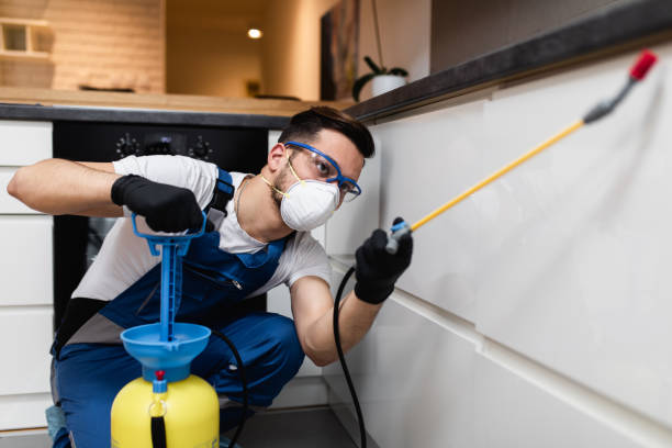 Best Cockroach Control Services  in Sea Bright, NJ