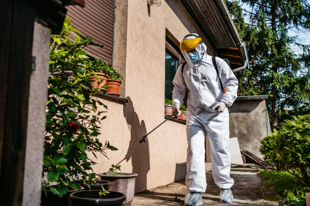 Best Termite Control Services  in Sea Bright, NJ