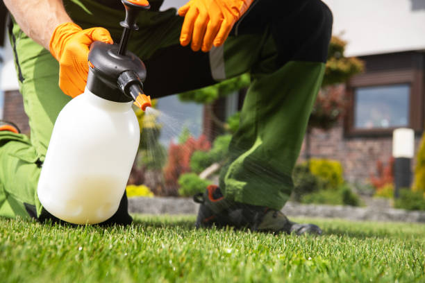 Best Commercial Pest Control Services  in Sea Bright, NJ