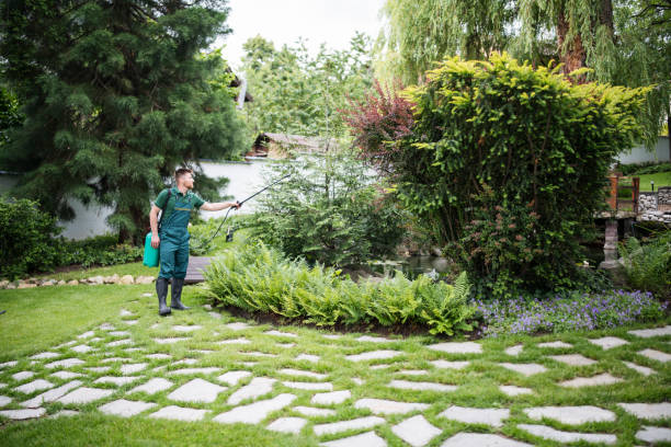 Best Mosquito Control Services  in Sea Bright, NJ