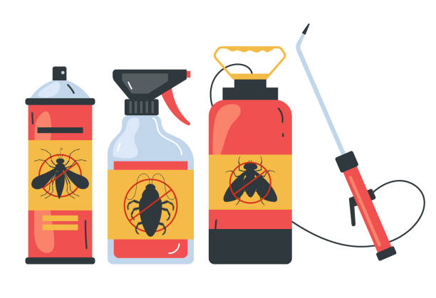 Best Spider Control Near Me  in Sea Bright, NJ
