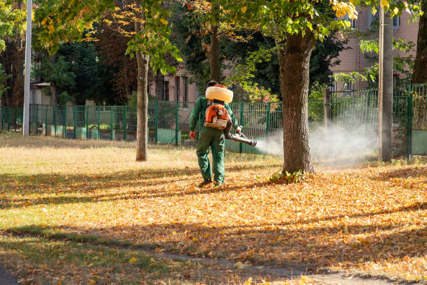 Best Exterminator Services  in Sea Bright, NJ