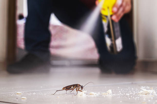 Best Emergency Pest Control  in Sea Bright, NJ