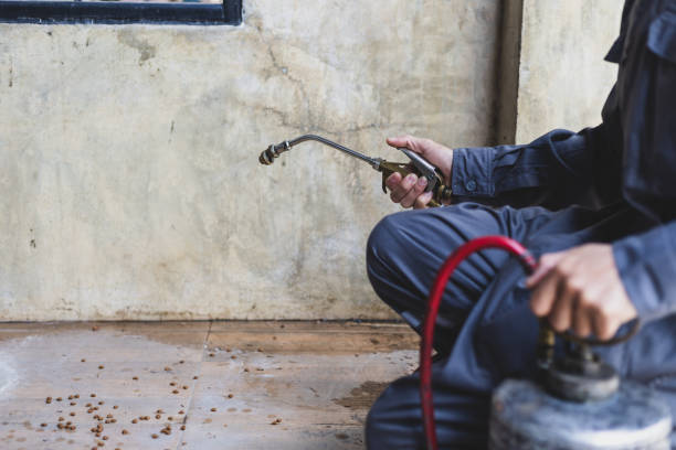 Wasp Removal Services in Sea Bright, NJ
